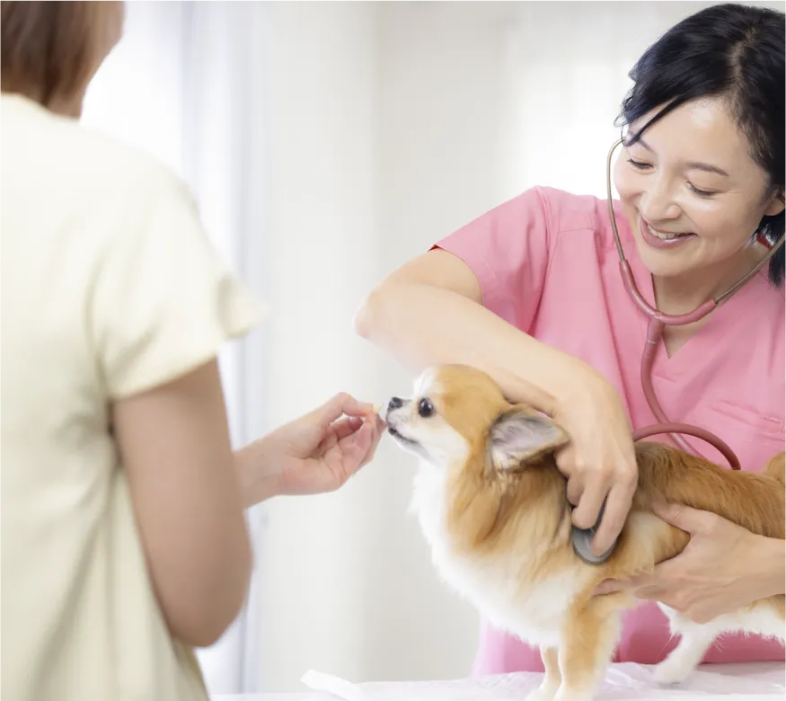 わんにゃん往診隊